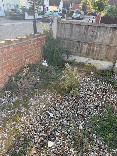 Photo from customer review